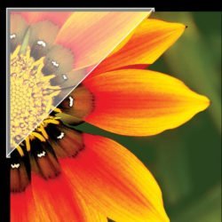 CANTOS ADESIVOS POLIÉSTER, 12.7 mm -240 u-