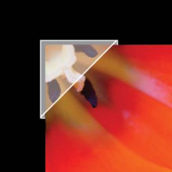 CANTOS ADESIVOS POLIPROPILENO, 15.87 mm -500 u-